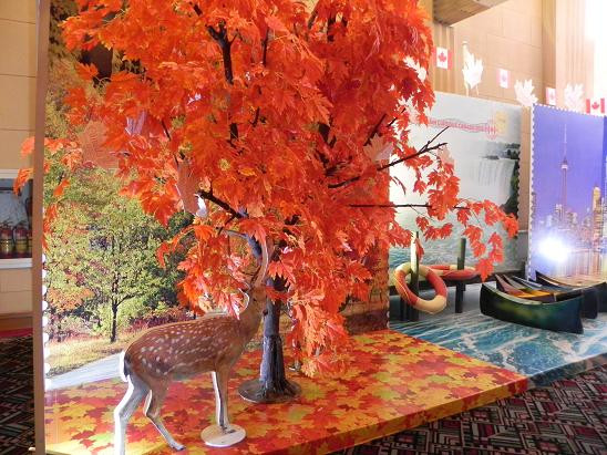 Rừng Phong đỏ lá