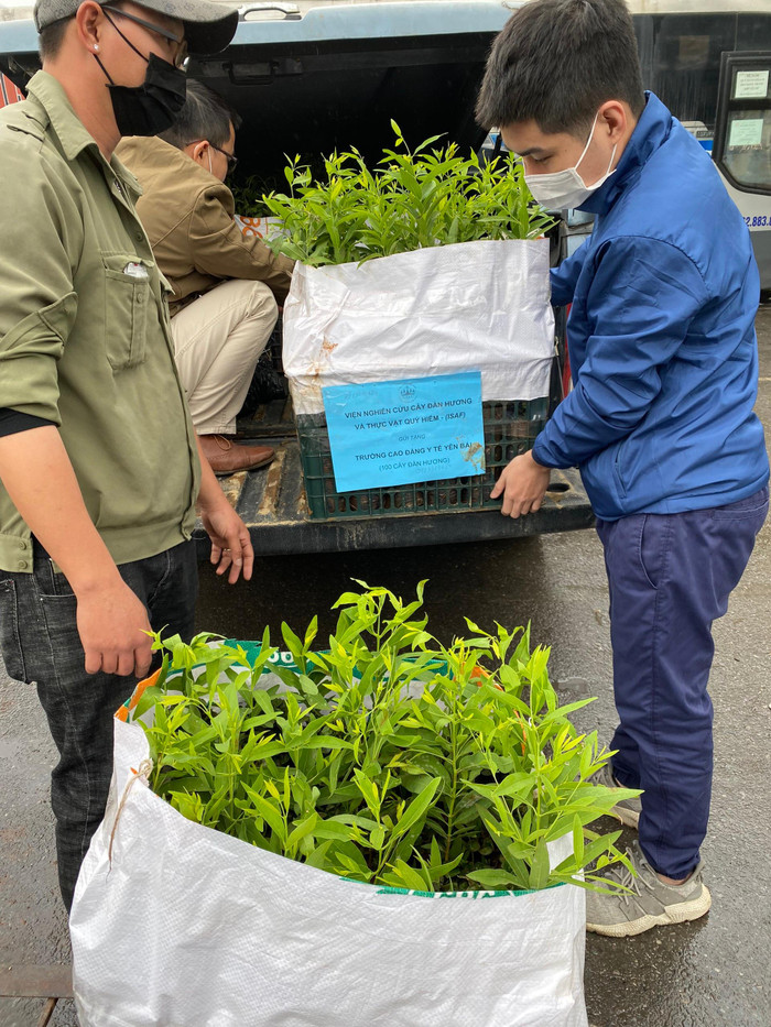 Các trường đại học, cao đẳng có diện tích đất trồng đã thực hiện trồng cây, góp phần xanh hóa khuôn viên trường học.