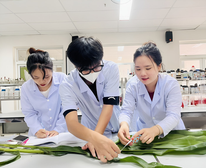 Sinh viên chuyên ngành Nông nghiệp công nghệ cao đo chỉ tiêu cây giống, phục vụ các nghiên cứu vì cộng đồng. Ảnh: NTCC SV thực hành 4.jpeg