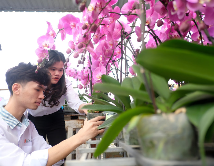 Sinh viên chuyên ngành Nông nghiệp công nghệ cao, Trường Đại học Đông Á chăm sóc các giống lan hồ điệp. Ảnh: NTCC SV thực hành 5.jpeg