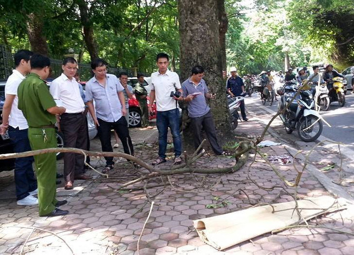 Hiện trường vụ tai nạn hy hữu. Hiện trường vụ tai nạn hy hữu.
