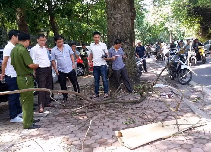 Hiện trường vụ tai nạn hy hữu.