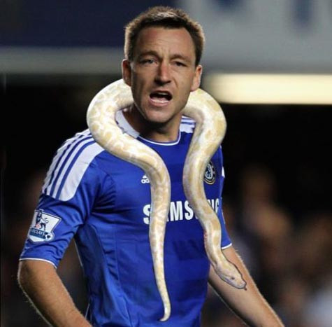 Terry rất kỳ vọng vào nhà hàng của mình Terry rất kỳ vọng vào nhà hàng của mình