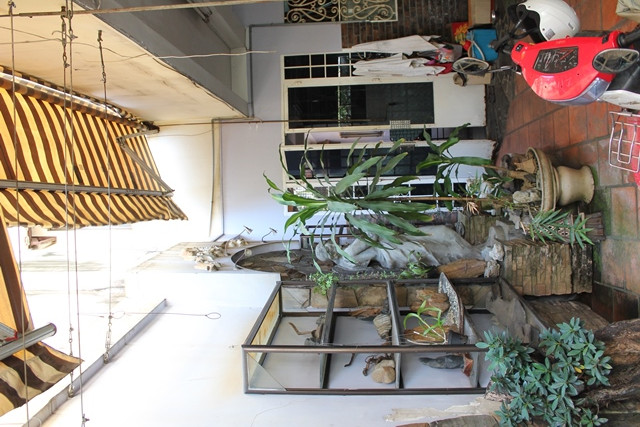 Một góc vườn nhà NSƯT Chánh Tín giờ chỉ còn lại lác đác vài hòn đá, vài chậu cây cảnh. Bởi trước đó, NSƯT đã bán đi những thứ có giá trị để lấy tiền trị bệnh