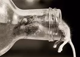 9 phát ngôn đáng chú ý của Tổng bí thư Nguyễn Phú Trọng năm 2014 ảnh 4