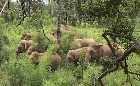 Gia đình thần thánh và “tứ gia đồng đường” ảnh 3