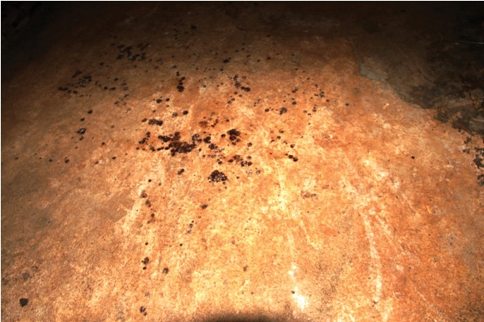 Vết máu vương lại tại hiện trường. Vết máu vương lại tại hiện trường.