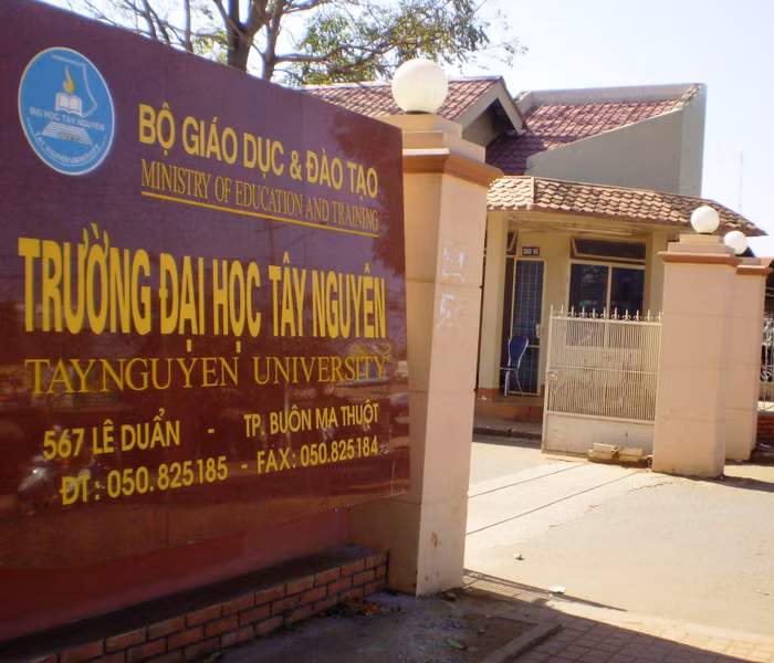 Buộc sinh viên thôi học, chuyện bình thường thôi ảnh 2