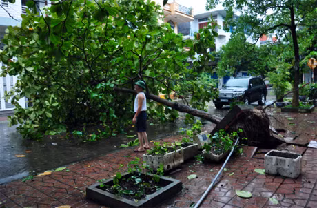 Ảnh minh họa (nguồn Internet)