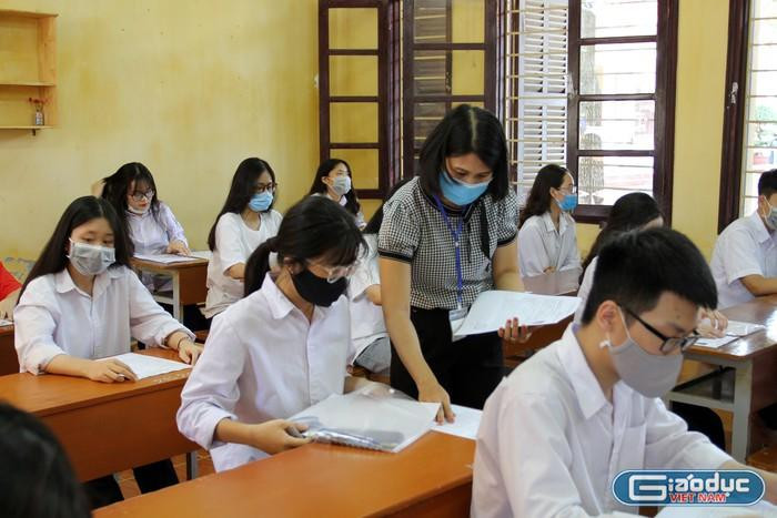 Theo chuyên gia nghiên cứu Nguyễn Quốc Vương, thi học sinh giỏi không tạo động lực học tập từ bên trong cho các em học sinh (Ảnh minh họa: Lã Tiến)