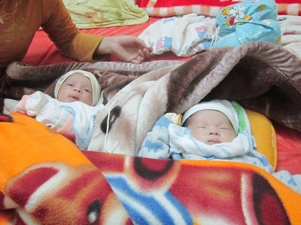 Hai bé trai song sinh Hồ Sỹ Hoàng Hải và Hồ Sỹ Hoàng Đức. Hai bé trai song sinh Hồ Sỹ Hoàng Hải và Hồ Sỹ Hoàng Đức.