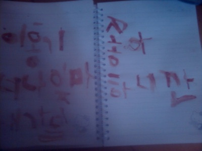 Theo sau 2 bức thư bằng máu dành cho Taecyeon và Lee Joon, Lee Hongki là ngôi sao Hàn tiếp theo được nhận một bức thư bằng máu từ fan hâm mộ. “Lee Honki, anh biết rằng em yêu anh đúng không”