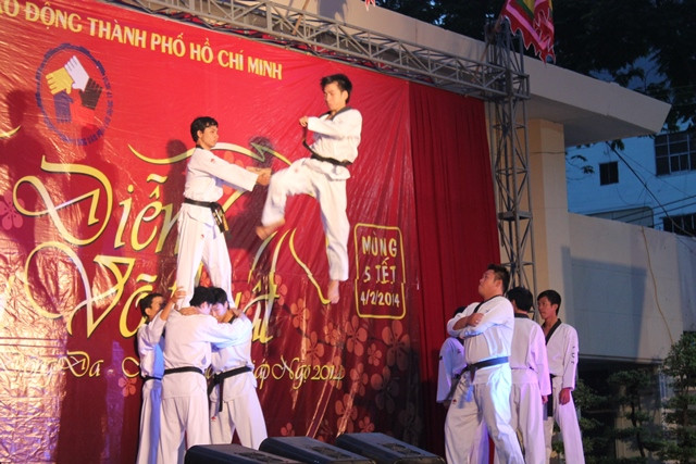 Ngoài ra, những màn biểu diễn từ các môn võ khác như Vịnh Xuân Quyền, Côn nhị khúc, Taekwondo, Karatedo,...cũng không kém phần hấp dẫn, thu hút người xem