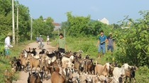 Thói “công quyền” ảnh 3 Thói “công quyền” ảnh 3