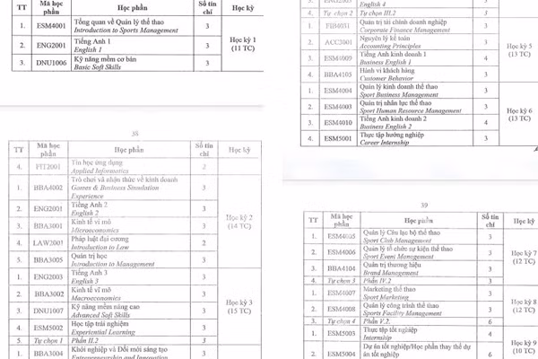 Bản mô tả chương trình đào tạo đại học ngành Quản lý Thể dục thể thao (sau rà soát) được Trường Đại học Đại Nam ban hành vào tháng 7/2023. (Ảnh: cắt màn hình) Bản mô tả chương trình đào tạo đại học ngành Quản lý Thể dục thể thao (sau rà soát) được Trường Đại học Đại Nam ban hành vào tháng 7/2023. (Ảnh: cắt màn hình)