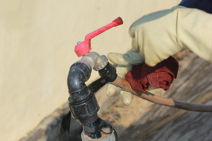 Một nữ nhân viên chỉnh ống nước để tưới cây.