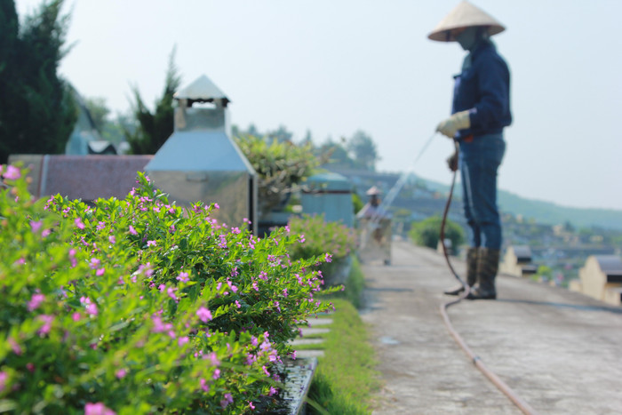 Những hàng cây xanh ngát, hoa tươi sắc được nhân viên chăm sóc, tưới tắm hàng ngày. (Ảnh: Mạnh Đoàn)