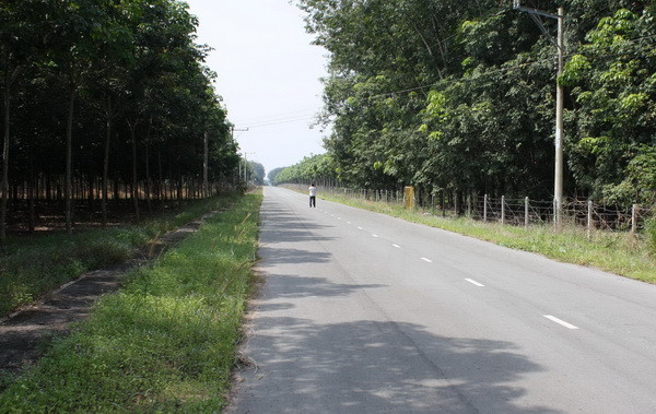 Vườn cao su vài chục héc ta của ông Lê Thanh Cung, Chủ tịch UBND tỉnh Bình Dương có nguồn gốc là đất công? (ảnh và chú thích của báo Tainguyenmoitruong.com.vn) Vườn cao su vài chục héc ta của ông Lê Thanh Cung, Chủ tịch UBND tỉnh Bình Dương có nguồn gốc là đất công? (ảnh và chú thích của báo Tainguyenmoitruong.com.vn)