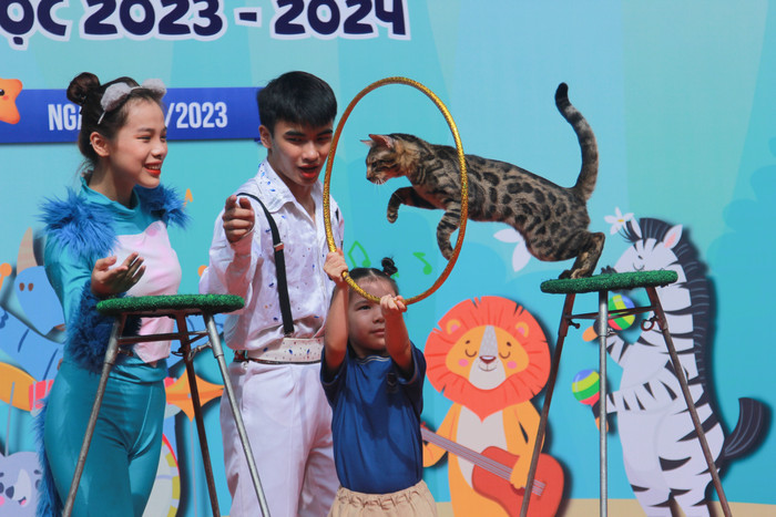 Tiết mục biểu diễn xiếc của những chú mèo và chó thu hút sự quan tâm của các bé. Đồng thời bé còn được lên trải nghiệm làm những nghệ sĩ xiếc. Tiết mục biểu diễn xiếc của những chú mèo và chó thu hút sự quan tâm của các bé. Đồng thời bé còn được lên trải nghiệm làm những nghệ sĩ xiếc.