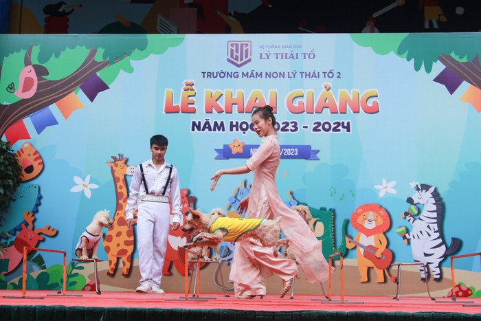 Tiết mục xiếc của những chú chó vượt qua chướng ngại vật. Tiết mục xiếc của những chú chó vượt qua chướng ngại vật.