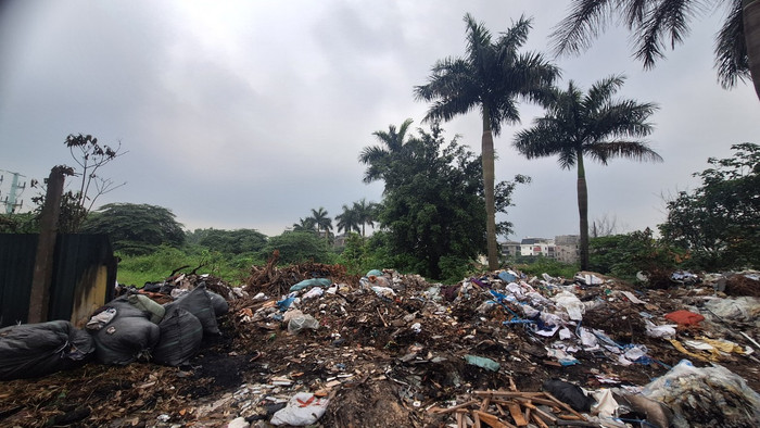 Trong khu dự án bỏ hoang là bãi rác, gần đó có dịch vụ hồ câu cá. (Ảnh: NP gdvn_truong-dai-hoc-nguyen-trai (18).jpg
