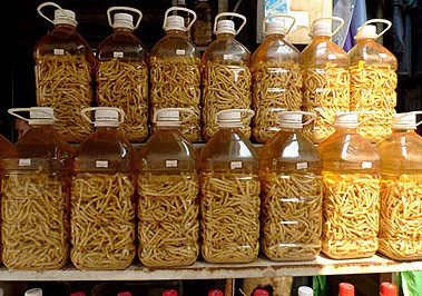 Rượu sâu chít được cho là một loại rượu bổ dương