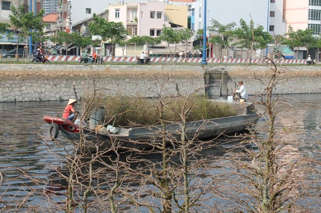 ...Dưới dòng kênh cũng không còn những chuyến ghe chở đầy lúa gạo