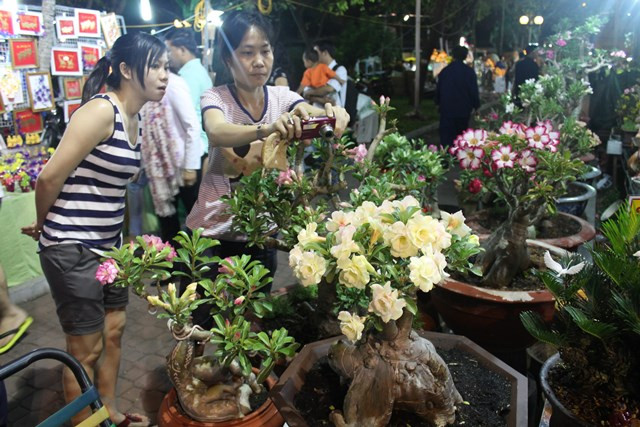 Đặc biệt, khu trưng bày của nghệ nhân Nguyễn Huy Hoàng luôn thu hút du khách đến tham quan và chụp ảnh bởi sự độc đáo, mới lạ từ những tác phẩm của anh