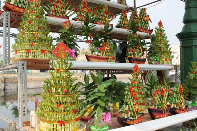 Chậu cây phát tài trang trí bắt mắt cũng có giá gần 150 ngàn đồng