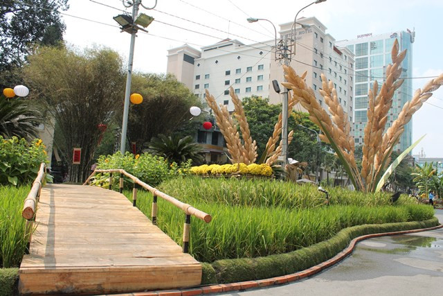 Không thể thiếu những cánh đồng lúa xanh tươi...