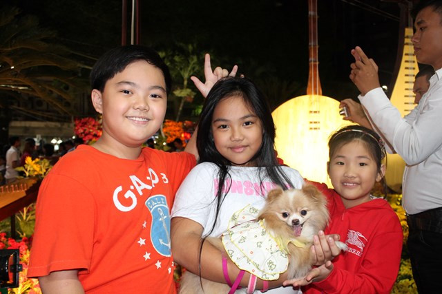 Bế cả thú cưng cùng đi xem đường hoa