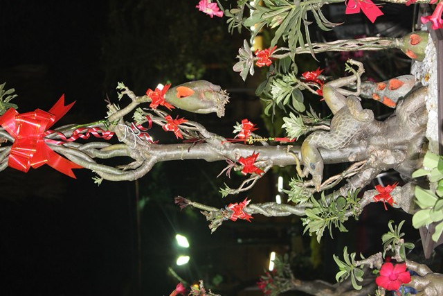 Một gốc sứ có hình phượng hoàng cũng có giá trên 20 triệu đồng