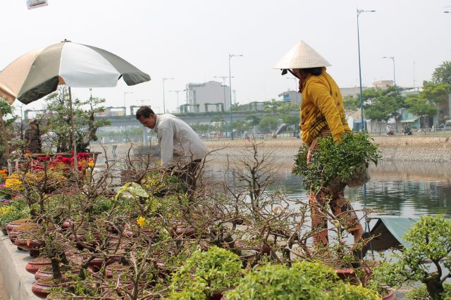 Thay phiên nhau sắp xếp những chậu hoa vào đúng vị trí
