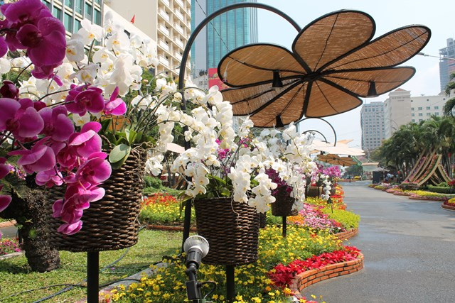 Hoa lan cũng có một khu riêng để khoa sắc