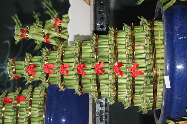 Cây phát tài được trang trí bắt mắt