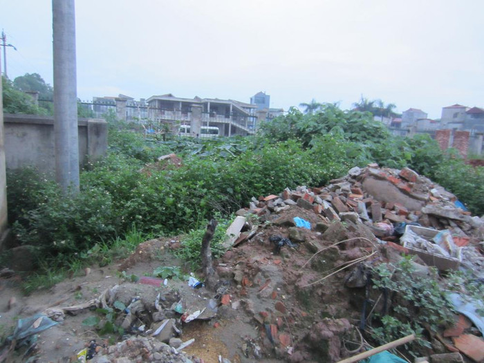 Những ụ đất lớn lẫn cả thùng xốp, túi nilong… cũng cỏ dại mọc che kín vỉa hè dẫn vào “ngôi trường tương lai”.