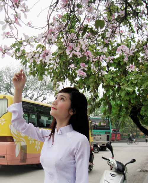 Thành tích cá nhân: - Giải A Cuộc thi “Giai điệu tuổi hồng” câp tỉnh năm 2009. - Đạt học bổng “SCB – Thắp sáng ước mơ” do TW Đoàn trao tặng. - Là đại biểu trong “Festival học sinh, sinh viên các dân tộc thiểu số toàn quốc” Thành tích cá nhân: - Giải A Cuộc thi “Giai điệu tuổi hồng” câp tỉnh năm 2009. - Đạt học bổng “SCB – Thắp sáng ước mơ” do TW Đoàn trao tặng. - Là đại biểu trong “Festival học sinh, sinh viên các dân tộc thiểu số toàn quốc”