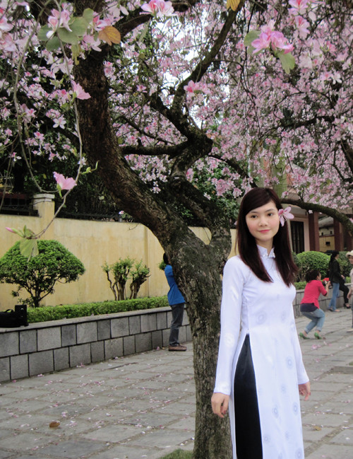 Ước mơ: Là người con của dân tộc Nùng, Như luôn mong muốn được giới thiệu với bạn bè khắp nơi về những làn điệu hát then, hát sli, lượn và hát ru của quê hương Văn Lãng, Lạng Sơn Ước mơ: Là người con của dân tộc Nùng, Như luôn mong muốn được giới thiệu với bạn bè khắp nơi về những làn điệu hát then, hát sli, lượn và hát ru của quê hương Văn Lãng, Lạng Sơn