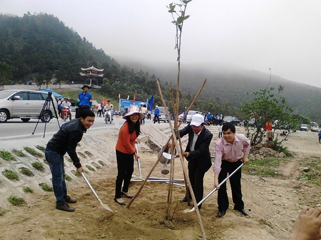 3.500 cây phi lao chắn sóng dọc bờ biển, 120 cây báng được trồng thành hàng dọc tuyến đường dẫn lên khu mộ Đại tướng Võ Nguyên Giáp. Ảnh HH