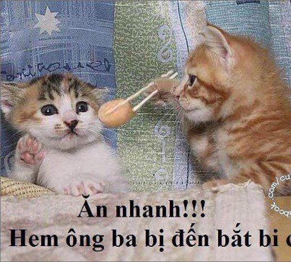 "Há miệng ra ăn nhanh, không ông ba bị đến bắt bây giờ" "Há miệng ra ăn nhanh, không ông ba bị đến bắt bây giờ"