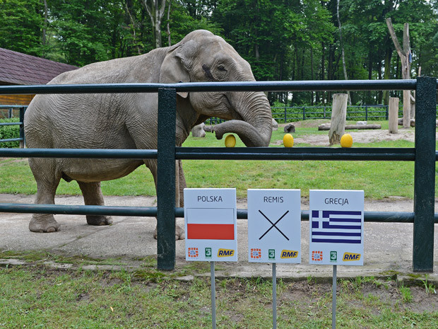 Zoo (sở thú): Sở thú Kharkiv là nơi nuôi dưỡng nhiều “nhà tiên tri” nhất của EURO 2012. Nào là voi Citta, lợn Funtik hay gà Fred... Zoo (sở thú): Sở thú Kharkiv là nơi nuôi dưỡng nhiều “nhà tiên tri” nhất của EURO 2012. Nào là voi Citta, lợn Funtik hay gà Fred...