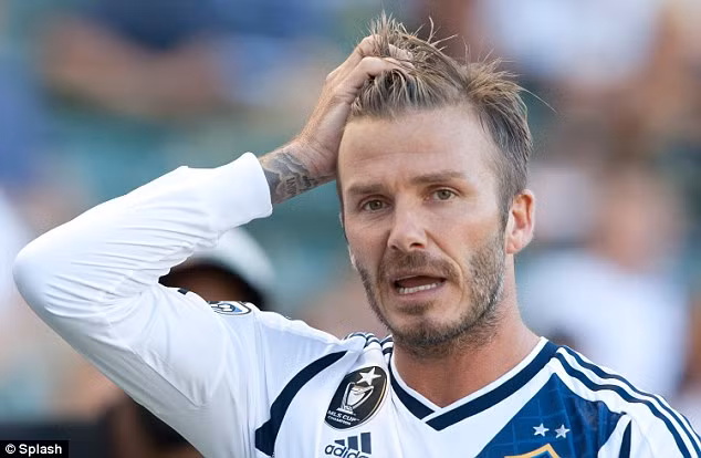 Bởi vậy mà anh tỏ ra khá thất vọng