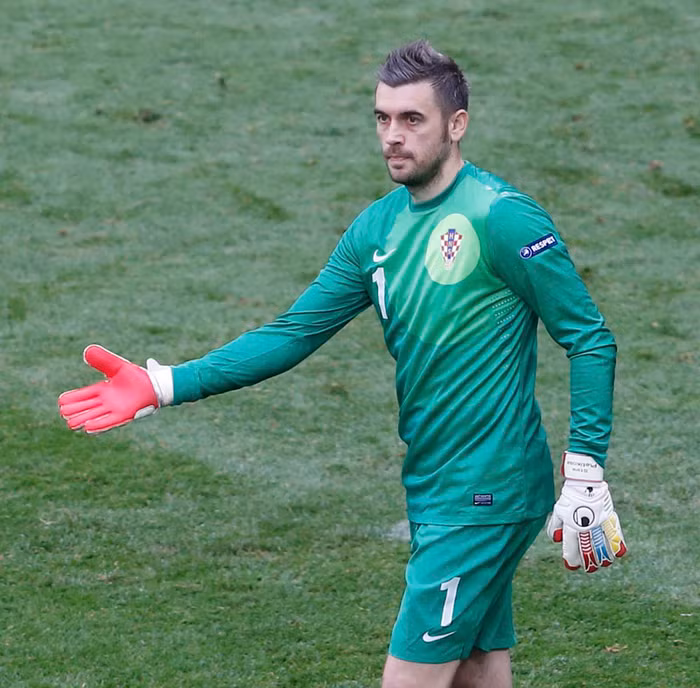 Pletikosa tỏa sáng trong trận hòa 1-1 của Croatia với Italia khi anh ít nhất đã 2 lần cứu cho đội nhà những bàn thua trông thấy sau những pha dứt điểm của Marchisio và Balotelli