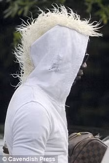 Dường như “ngựa chứng” đang đeo mào giả Dường như “ngựa chứng” đang đeo mào giả