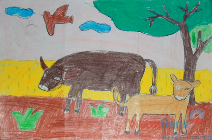 Được về quê chăn trâu