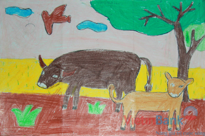 Được về quê chăn trâu