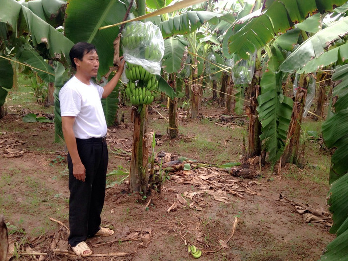 Ông “Đáo điên”: Sáng chế ra thuốc trừ sâu…người có thể uống được ảnh 4 Ông “Đáo điên”: Sáng chế ra thuốc trừ sâu…người có thể uống được ảnh 4