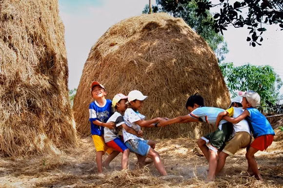 Thông tư 30: Góc nhìn của nhà khoa học phát triển chương trình giáo dục ảnh 3