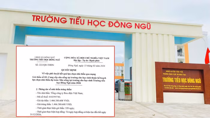 dau-thau-10.png
