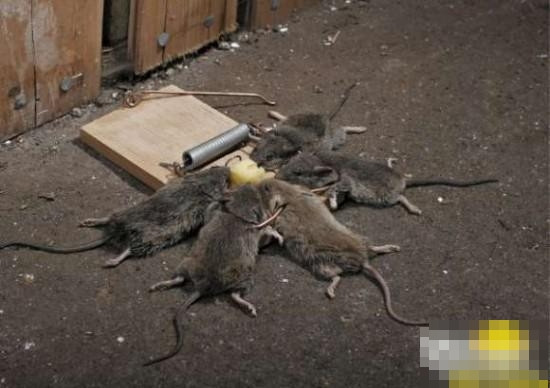 "Có sướng cùng hưởng, có họa cùng chịu"